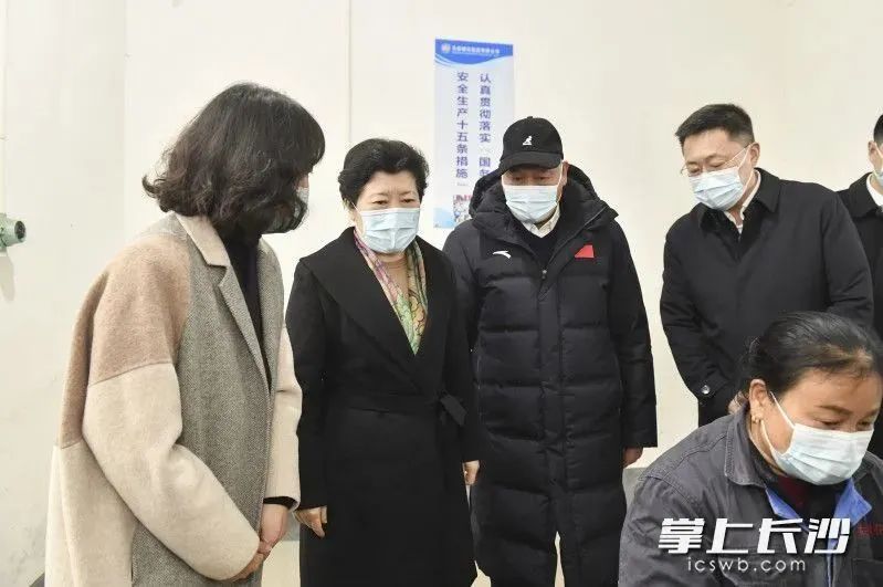 Wu Guiying, member of the Standing Committee of the Hunan Provincial Party Committee and secretary of the Changsha Municipal Party Committee, came to Dongxin to investigate fireworks